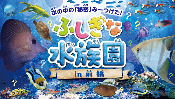 ふしぎな水族園